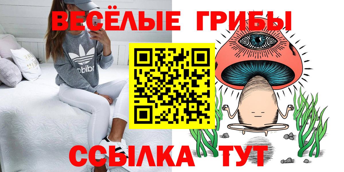 Мегион  где продают   Вход с VPN  Псилоцибиновые грибы мухоморы 