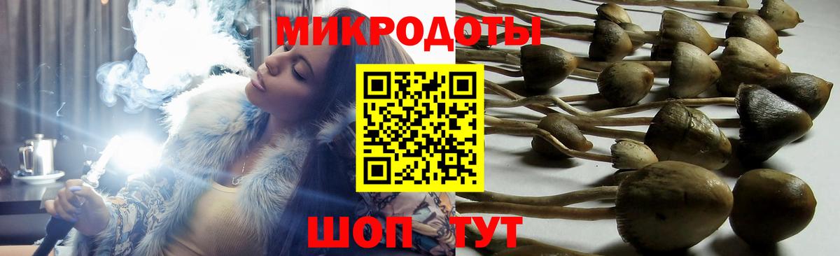 Псилоцибиновые грибы мухоморы Мегион